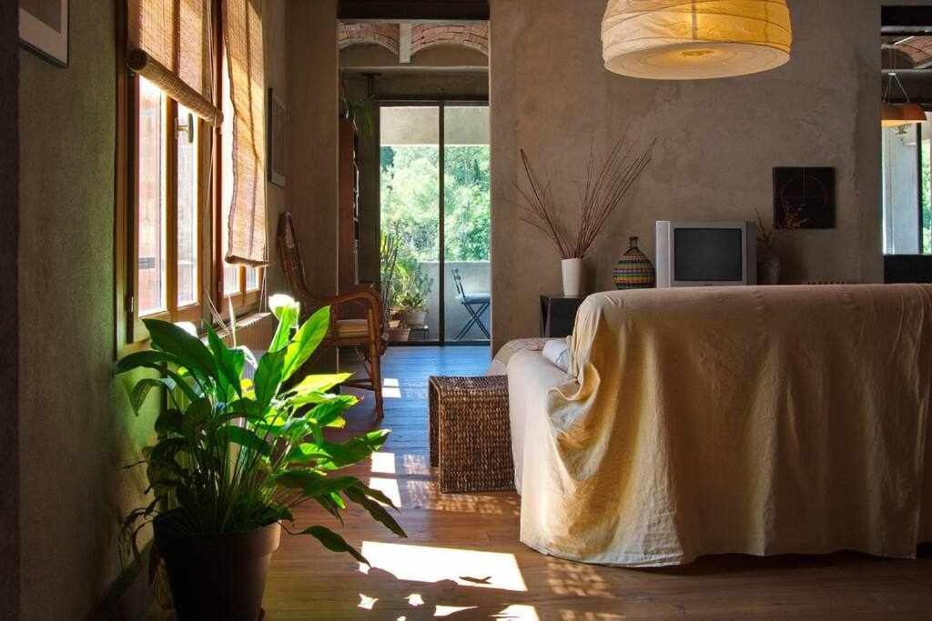 Sleep & Stay Artistico Loft Sant Daniel Girona Exteriér fotografie